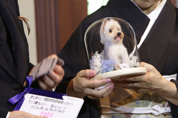 新潟県三条市　長岡市　新潟市　結婚式場　フォト撮影　ウェディングドレス　カラードレス