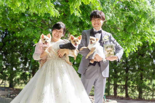 新潟県三条市　長岡市　新潟市　結婚式場　フォト撮影　ウェディングドレス　カラードレス